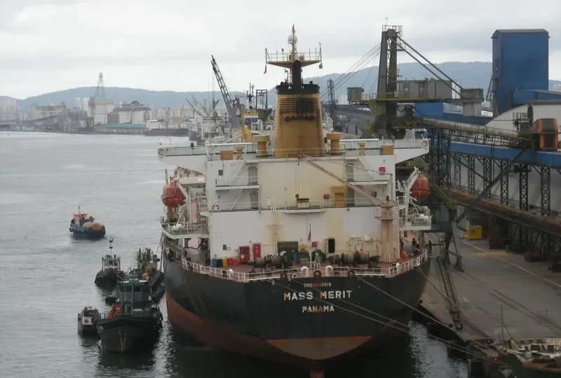 MASS MERIT Bulk Carrier IMO 9050319 photo 6