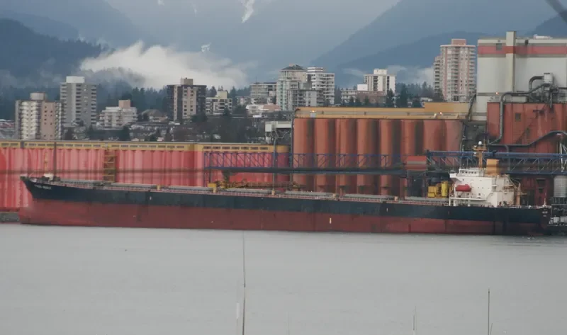 MASS MERIT Bulk Carrier IMO 9050319 photo 10
