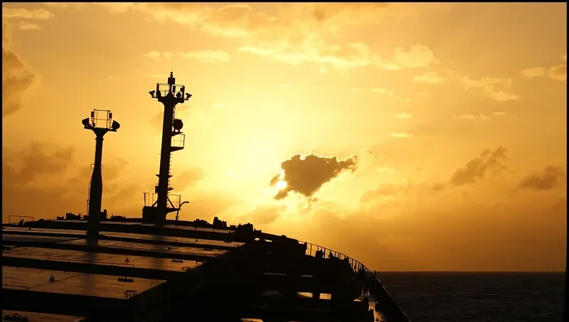 GERM Bulk Carrier IMO 9050369 photo 9