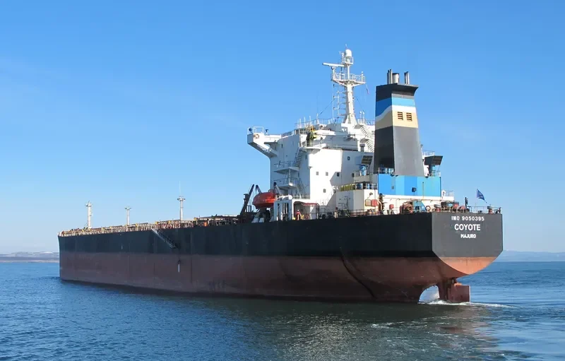 OCEAN PEACE Bulk Carrier IMO 9050395 photo 3