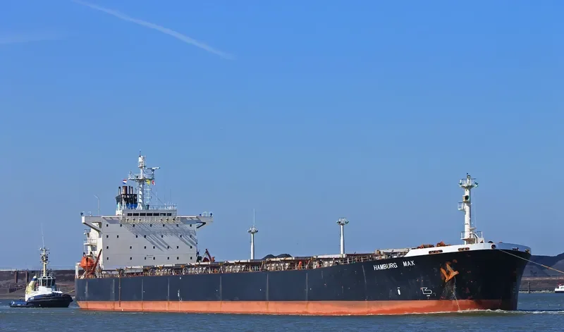 OCEAN PEACE Bulk Carrier IMO 9050395 photo 6