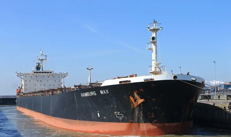 OCEAN PEACE Bulk Carrier IMO 9050395 photo 7