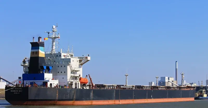 OCEAN PEACE Bulk Carrier IMO 9050395 photo 8