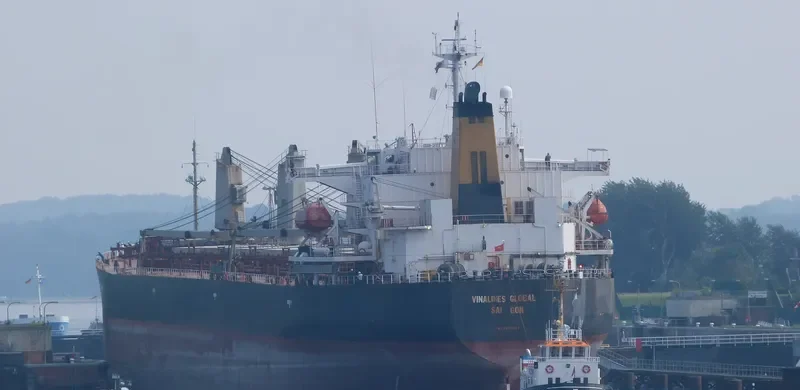 VINALINES GLOBAL Bulk Carrier IMO 9050668 photo 4