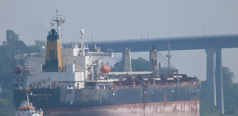 VINALINES GLOBAL Bulk Carrier IMO 9050668 photo 5