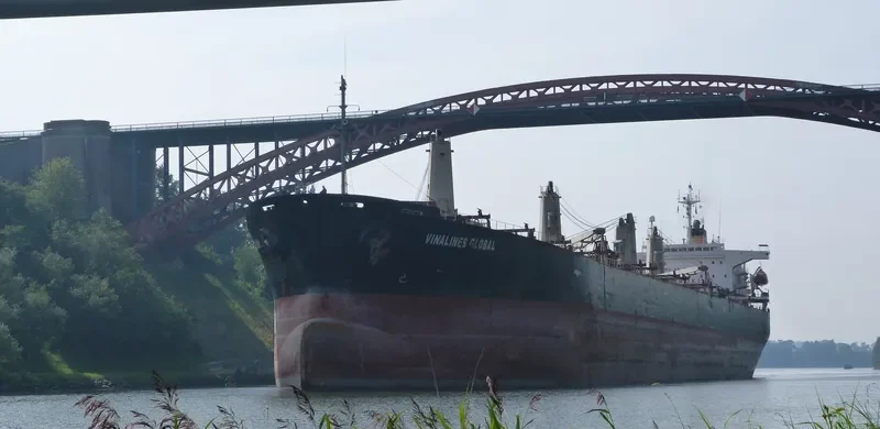 VINALINES GLOBAL Bulk Carrier IMO 9050668 photo 6