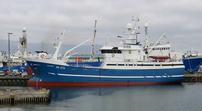 TJALDUR General Cargo IMO 9050709