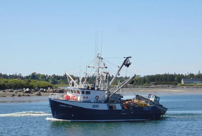 MORNING STAR General Cargo IMO 9051040