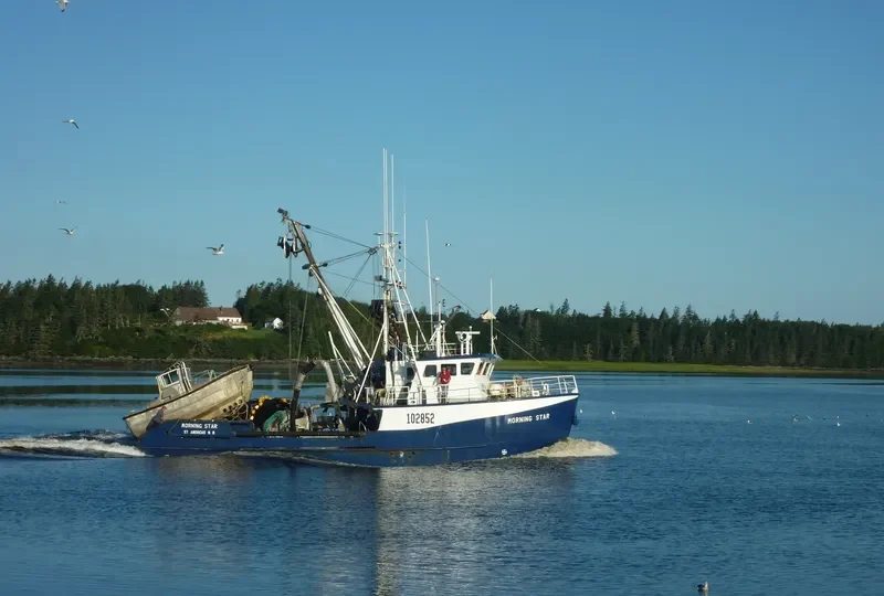 MORNING STAR General Cargo IMO 9051040 photo 3
