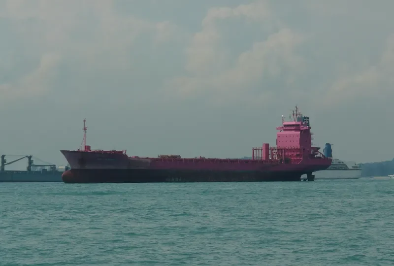 XIN BIN JIANG Container Ship IMO 9051222