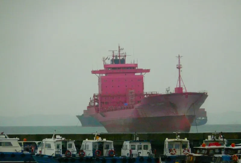 XIN BIN JIANG Container Ship IMO 9051222 photo 4