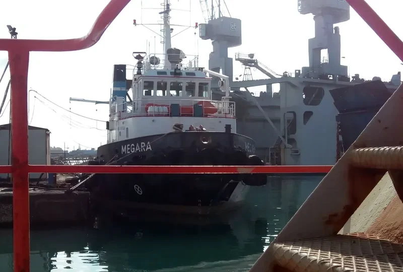 MEGARA General Cargo IMO 9051258 photo 5