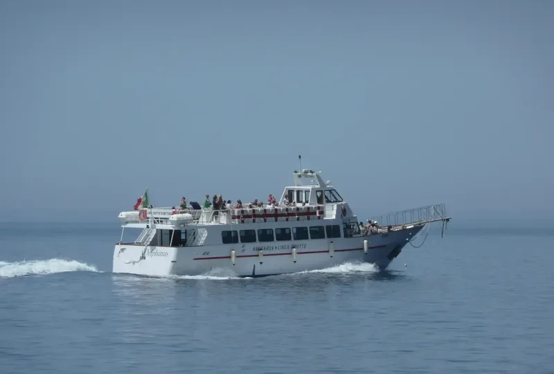DELPHINUS Passenger Ship IMO 9051349 photo 3
