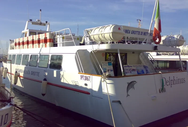 DELPHINUS Passenger Ship IMO 9051349 photo 4