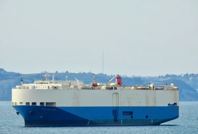 COUGAR ACE General Cargo IMO 9051375 photo 2