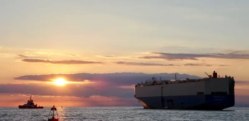 COUGAR ACE General Cargo IMO 9051375 photo 5