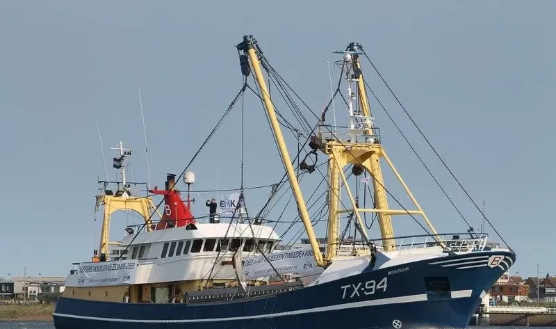 AVONTUUR General Cargo IMO 9051454