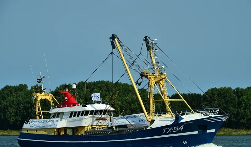 AVONTUUR General Cargo IMO 9051454 photo 5