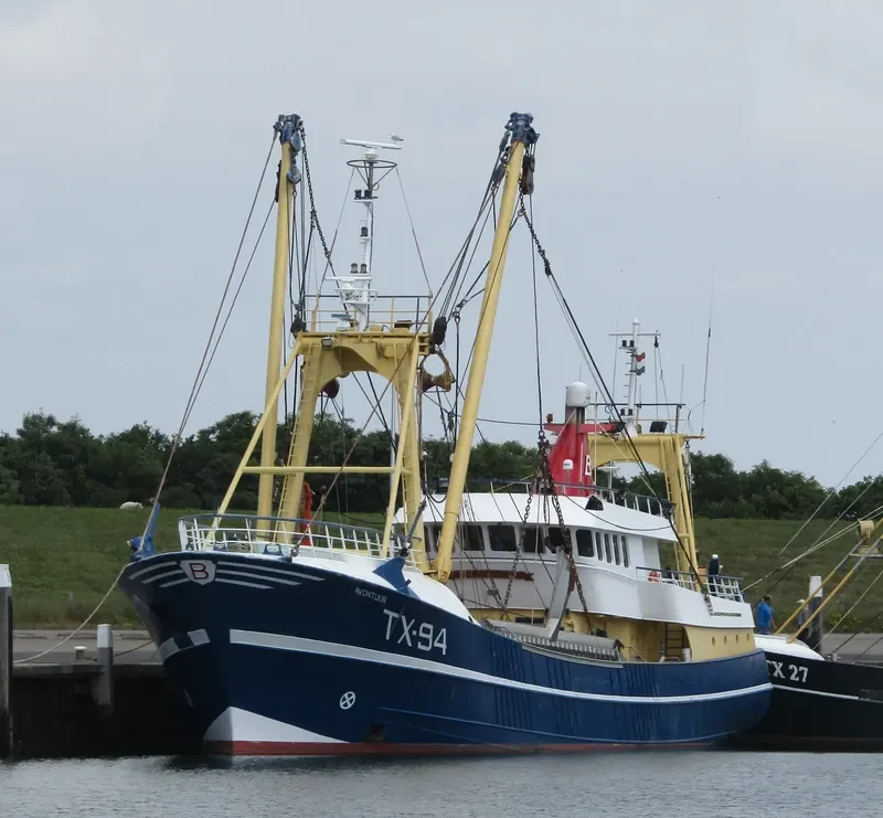 AVONTUUR General Cargo IMO 9051454 photo 6