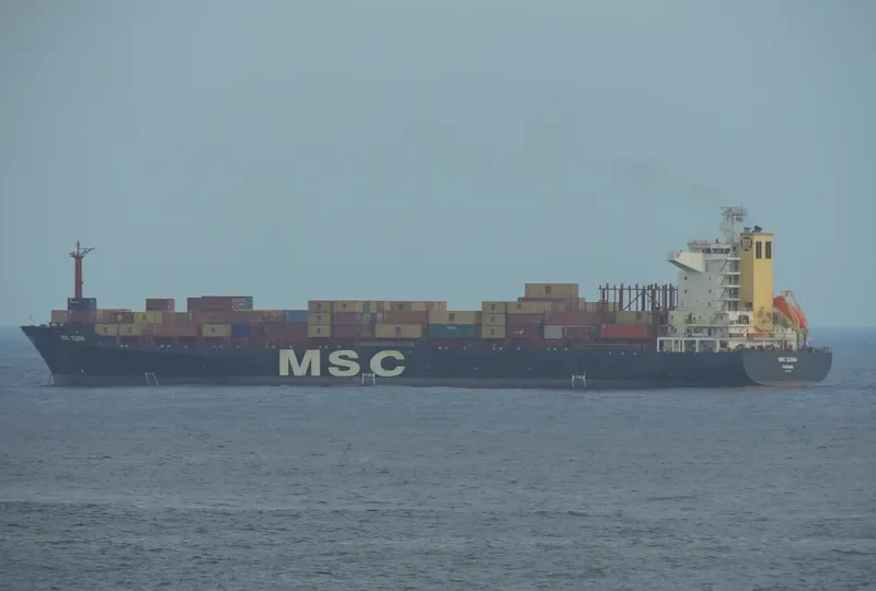 MSC ELENA Container Ship IMO 9051480 photo 2