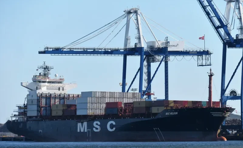 MSC NILGUN Container Ship IMO 9051492 photo 2