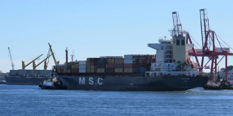 MSC NILGUN Container Ship IMO 9051492 photo 4