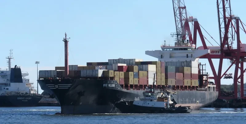 MSC NILGUN Container Ship IMO 9051492 photo 5