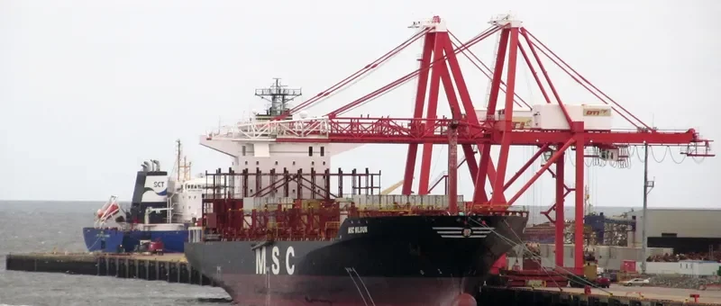 MSC NILGUN Container Ship IMO 9051492 photo 9