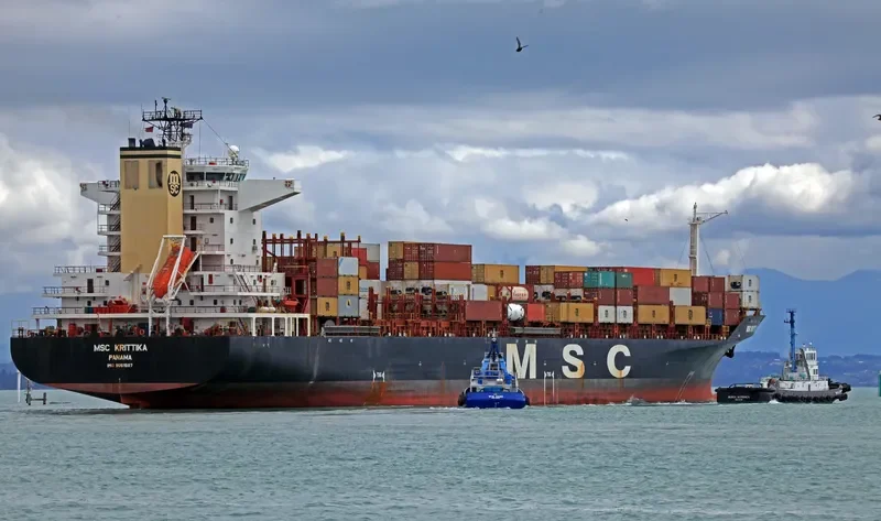 MSC KRITTIKA Container Ship IMO 9051507 photo 3