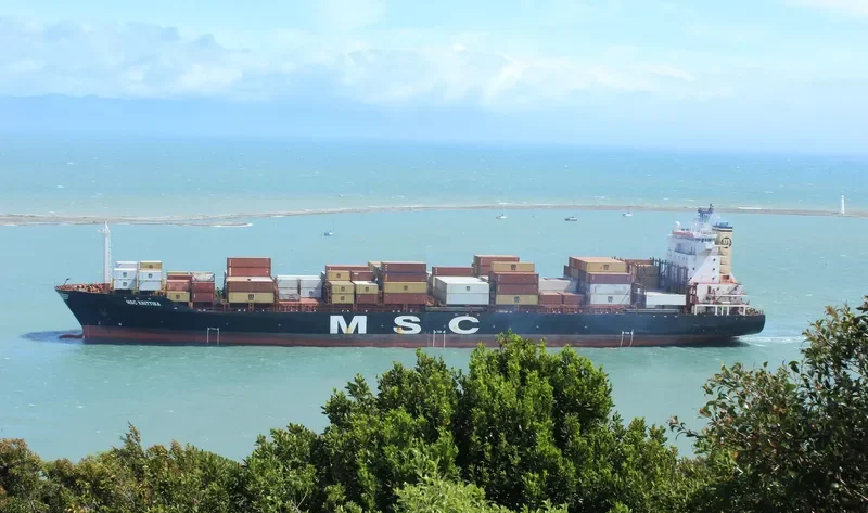 MSC KRITTIKA Container Ship IMO 9051507 photo 10
