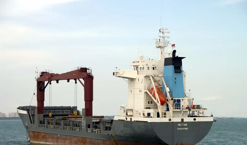 RED RESOURCE General Cargo IMO 9051583 photo 5