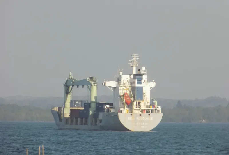 RED RESOURCE General Cargo IMO 9051583 photo 10