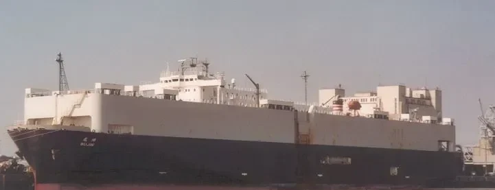 CAR STAR General Cargo IMO 9051820 photo 10