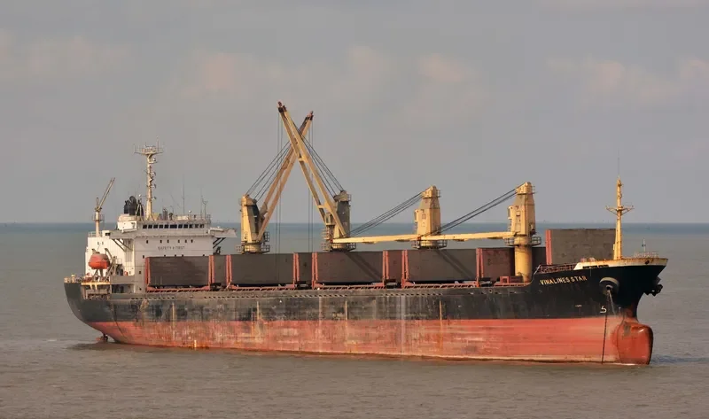 T T GOLD Bulk Carrier IMO 9052329 photo 2