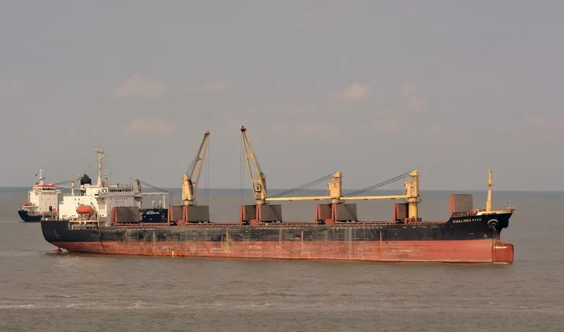 T T GOLD Bulk Carrier IMO 9052329 photo 3