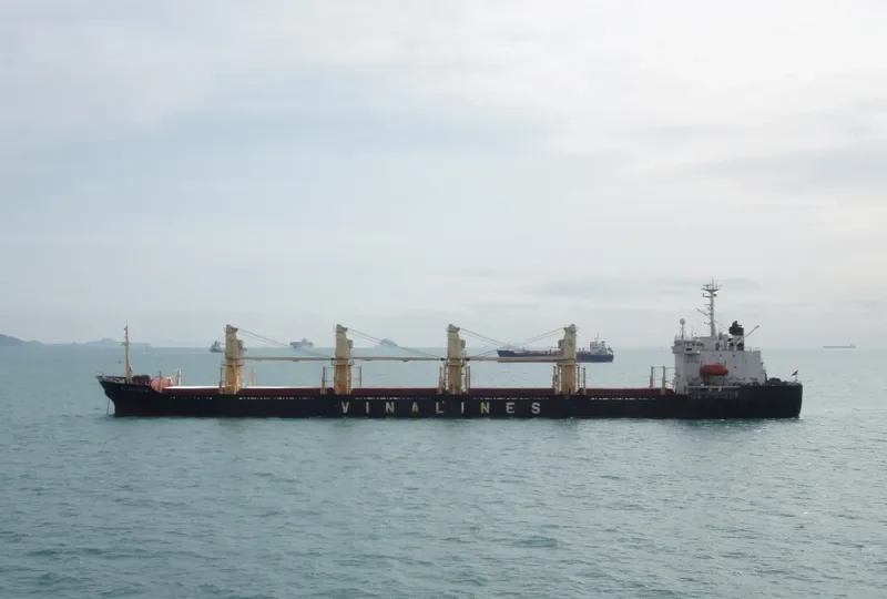 T T GOLD Bulk Carrier IMO 9052329 photo 7