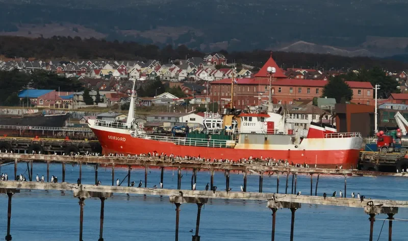 SEIFJORD General Cargo IMO 9052575 photo 6