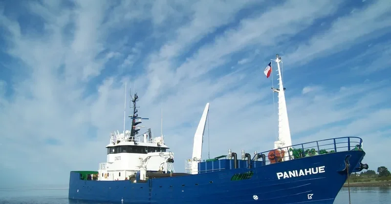 PANIAHUE General Cargo IMO 9052599
