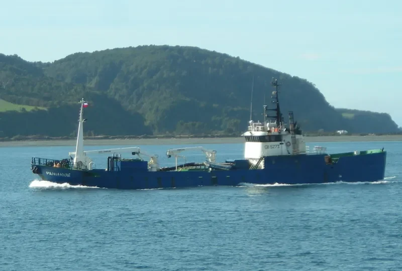 PANIAHUE General Cargo IMO 9052599 photo 2