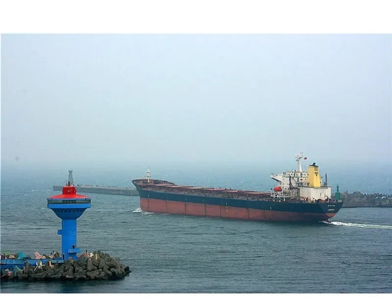 THE OPENER Bulk Carrier IMO 9052604 photo 2