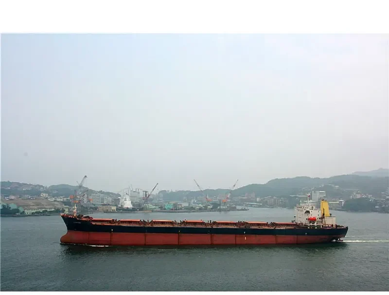 THE OPENER Bulk Carrier IMO 9052604 photo 3