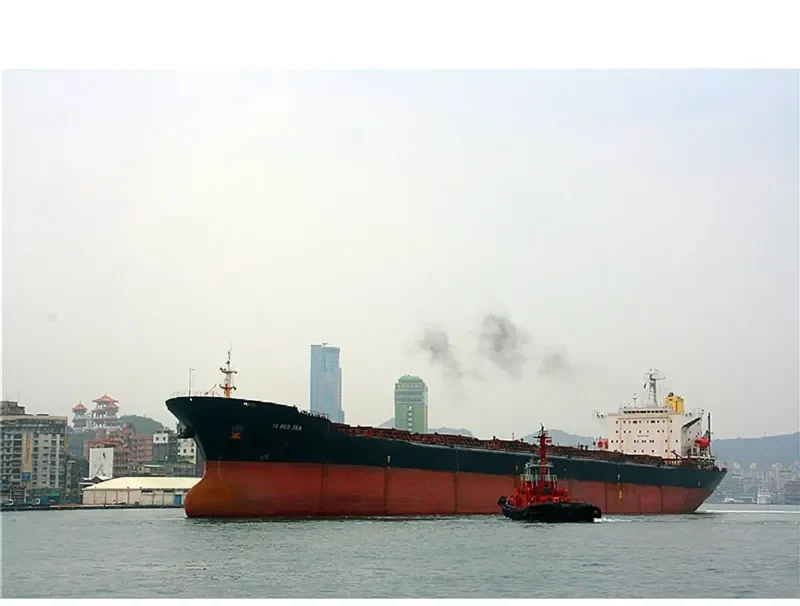 THE OPENER Bulk Carrier IMO 9052604 photo 4