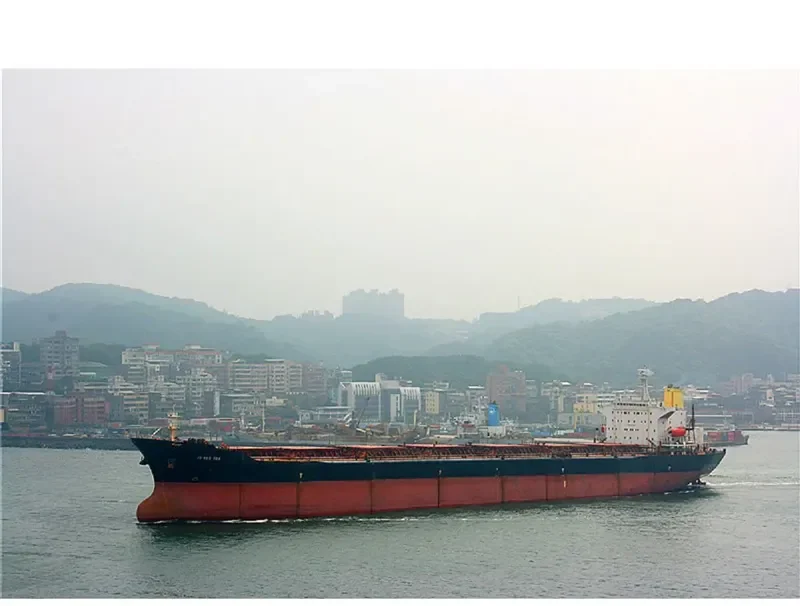 THE OPENER Bulk Carrier IMO 9052604 photo 8