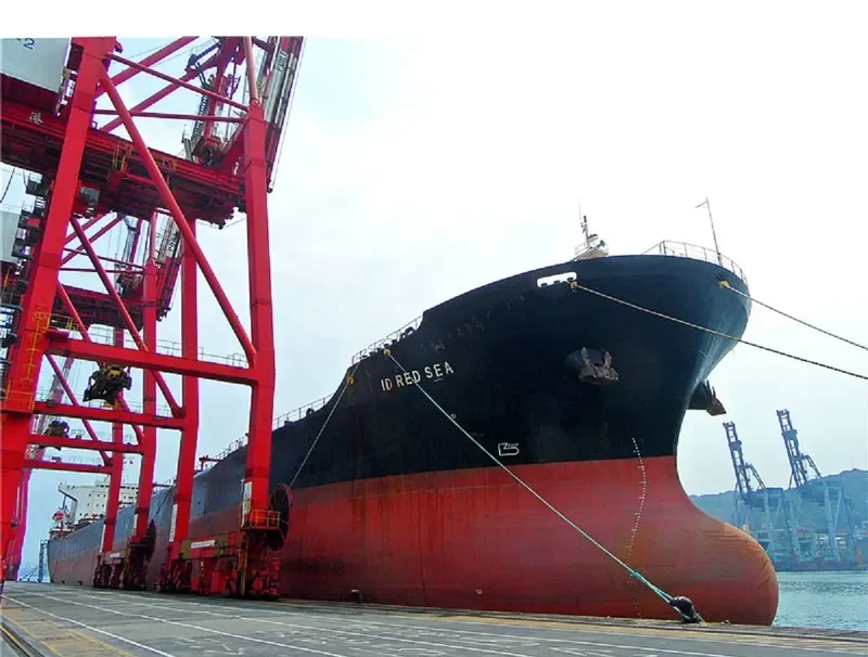 THE OPENER Bulk Carrier IMO 9052604 photo 9