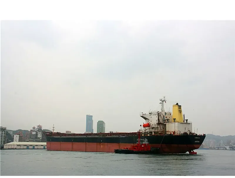 THE OPENER Bulk Carrier IMO 9052604 photo 10