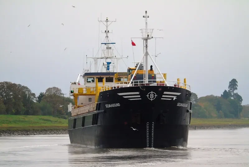 ALEKSANDER GUSEV General Cargo IMO 9052678 photo 2
