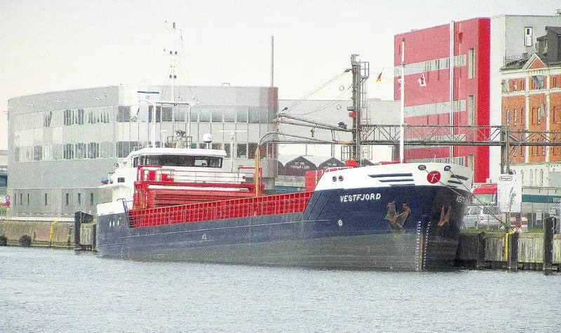 BON VIVANT General Cargo IMO 9052692 photo 10