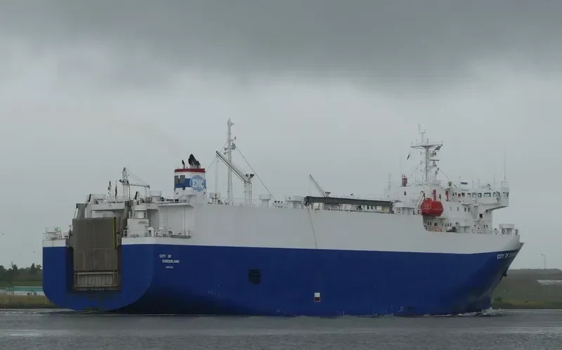 BRUISER Bulk Carrier IMO 9052721