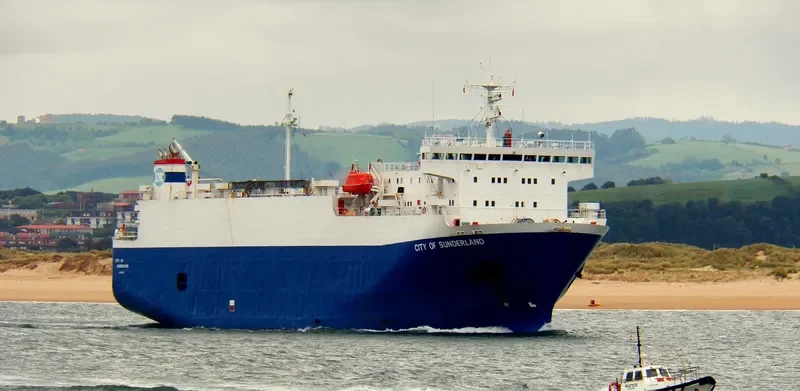 BRUISER Bulk Carrier IMO 9052721 photo 3
