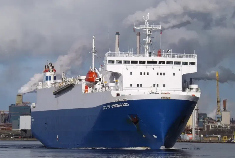 BRUISER Bulk Carrier IMO 9052721 photo 5